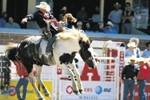 Return to the Around Calgary index