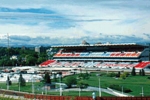 View Calgary and Area Sports