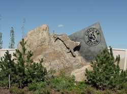 Cougar Ridge Real Estate